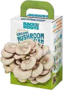 Back to the Roots Organic Mini Mushroom Grow Kit, Harvest Gourmet Oyster Mushrooms In 10 days, Top Gardening Gift